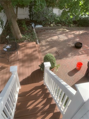 IMG_2960.jpg